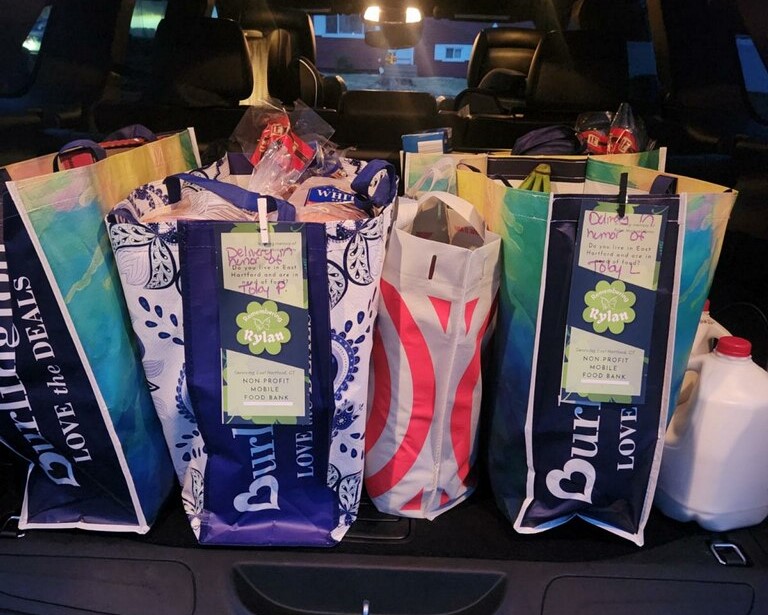 grocery bags in trunk of car